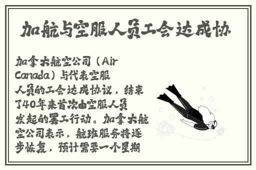 就是干就是吻
